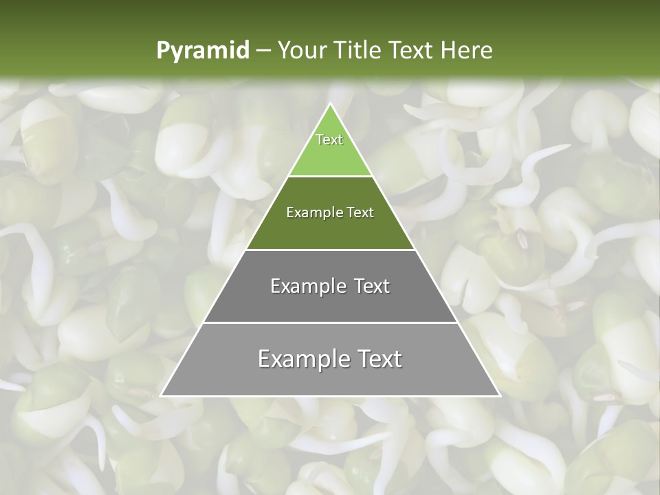 Wellness Germinate Mungo PowerPoint Template