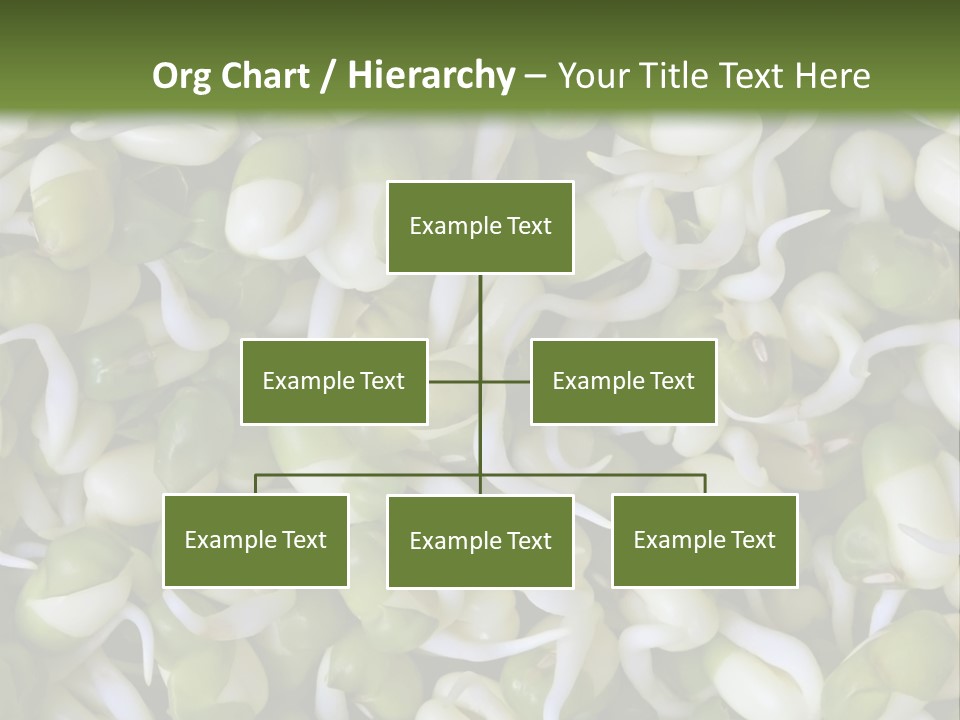 Wellness Germinate Mungo PowerPoint Template