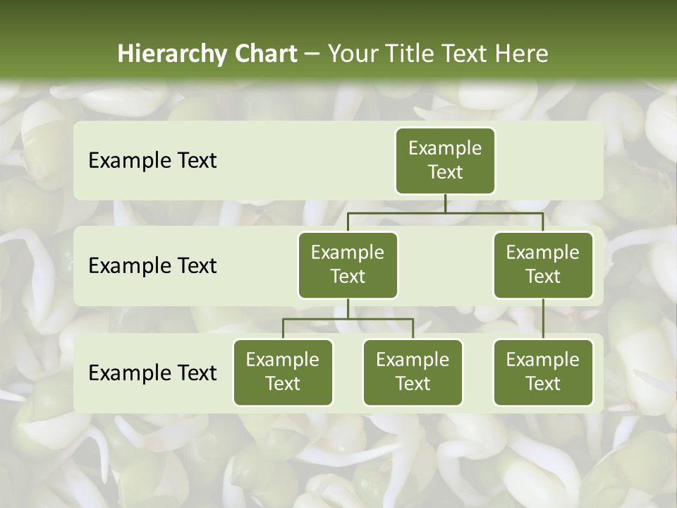 Wellness Germinate Mungo PowerPoint Template