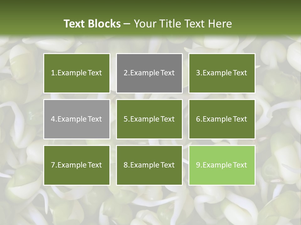 Wellness Germinate Mungo PowerPoint Template