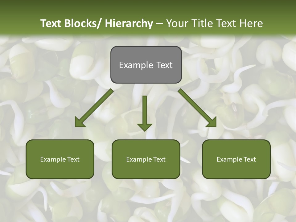 Wellness Germinate Mungo PowerPoint Template