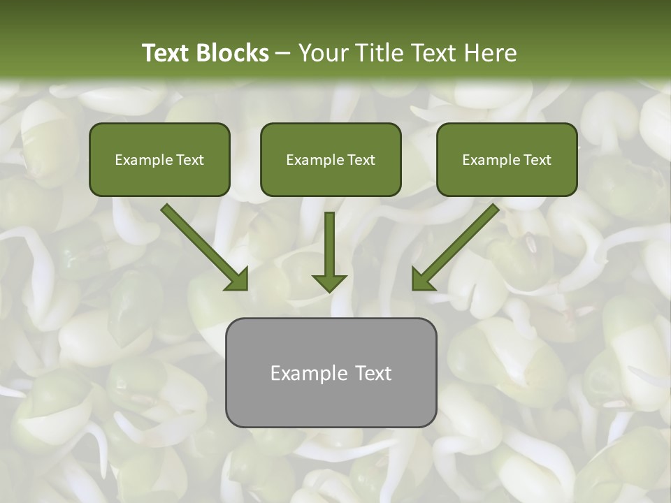 Wellness Germinate Mungo PowerPoint Template