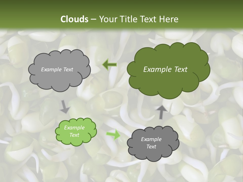 Wellness Germinate Mungo PowerPoint Template