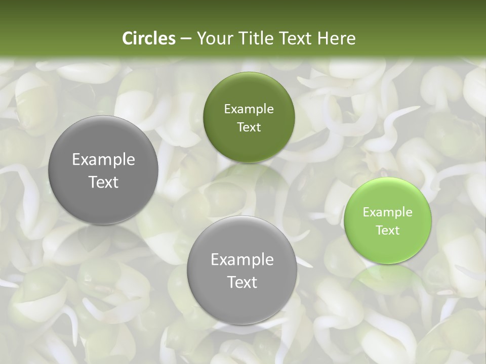 Wellness Germinate Mungo PowerPoint Template