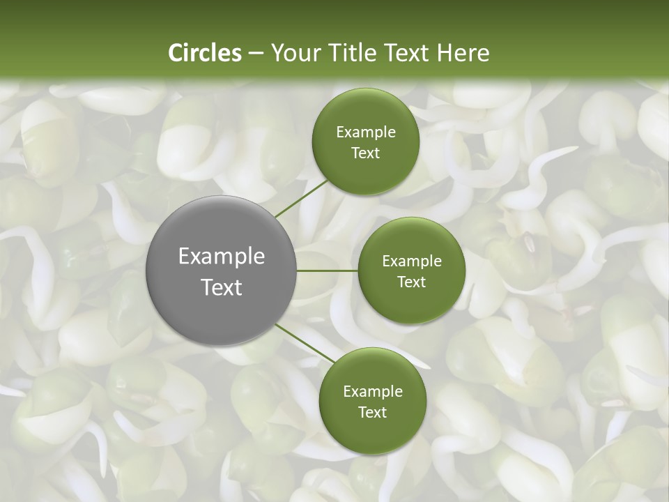 Wellness Germinate Mungo PowerPoint Template