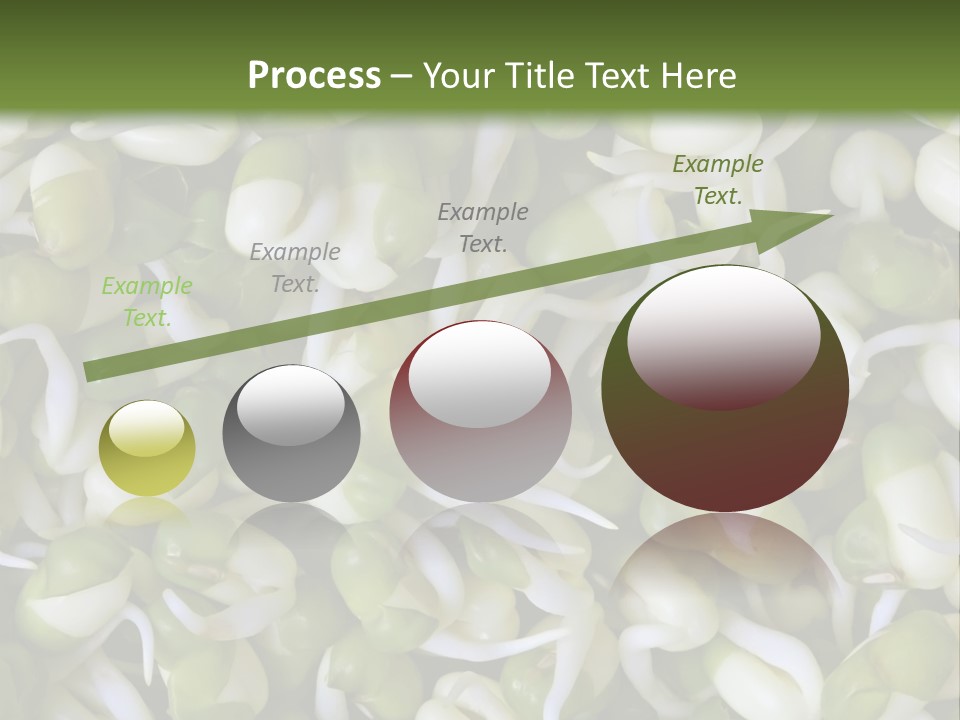 Wellness Germinate Mungo PowerPoint Template