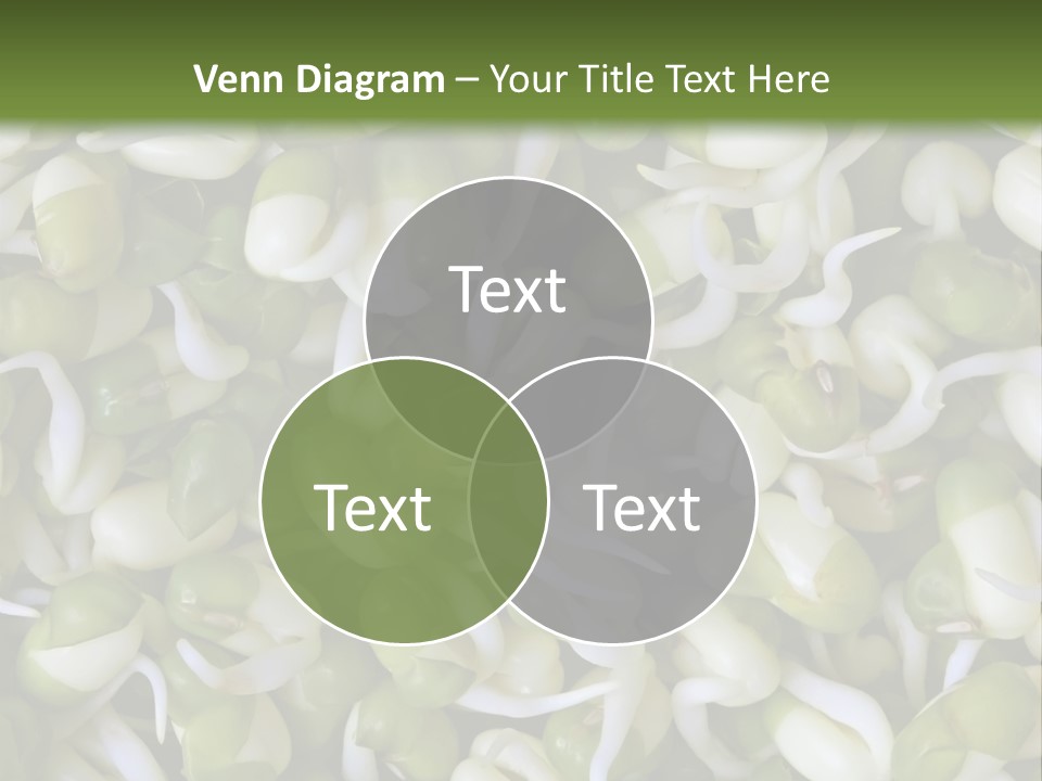 Wellness Germinate Mungo PowerPoint Template