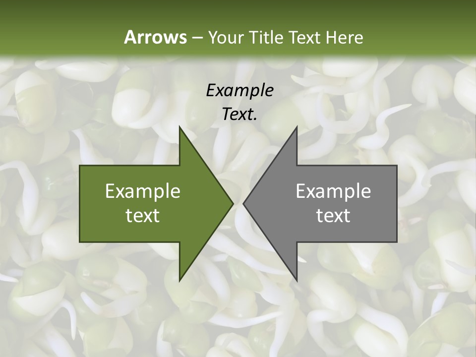 Wellness Germinate Mungo PowerPoint Template