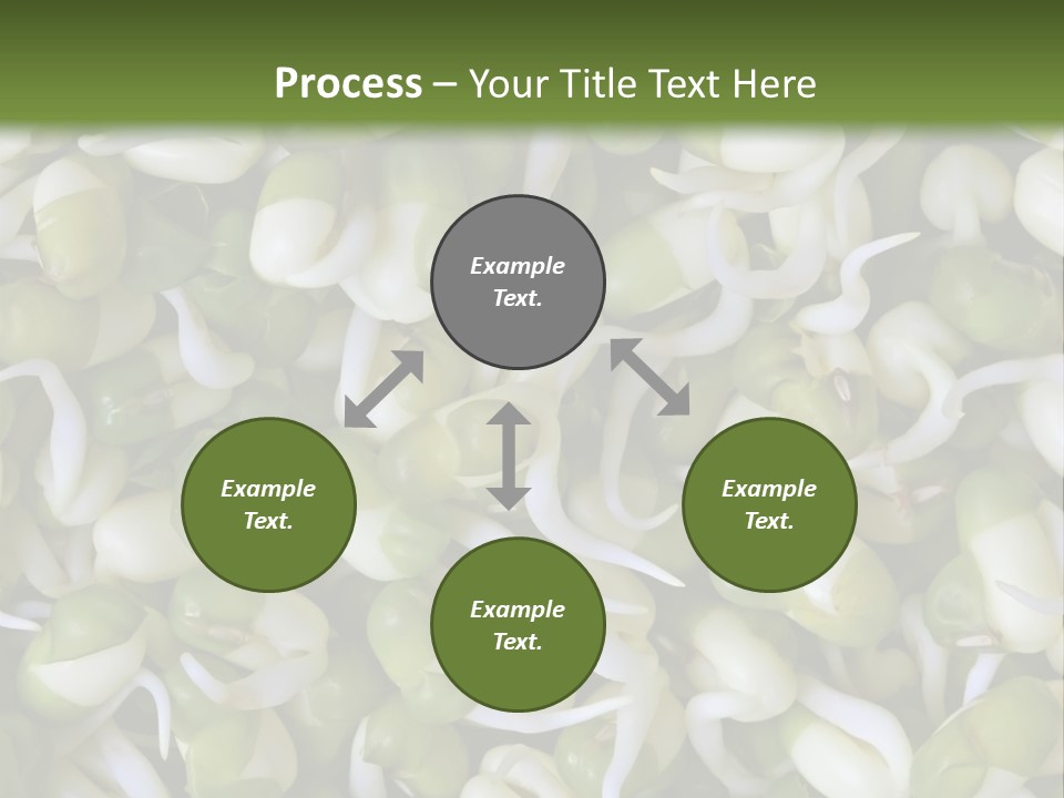 Wellness Germinate Mungo PowerPoint Template