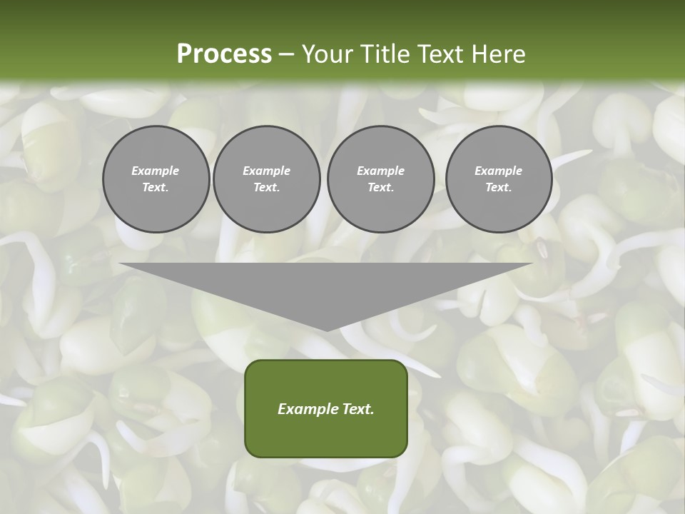 Wellness Germinate Mungo PowerPoint Template