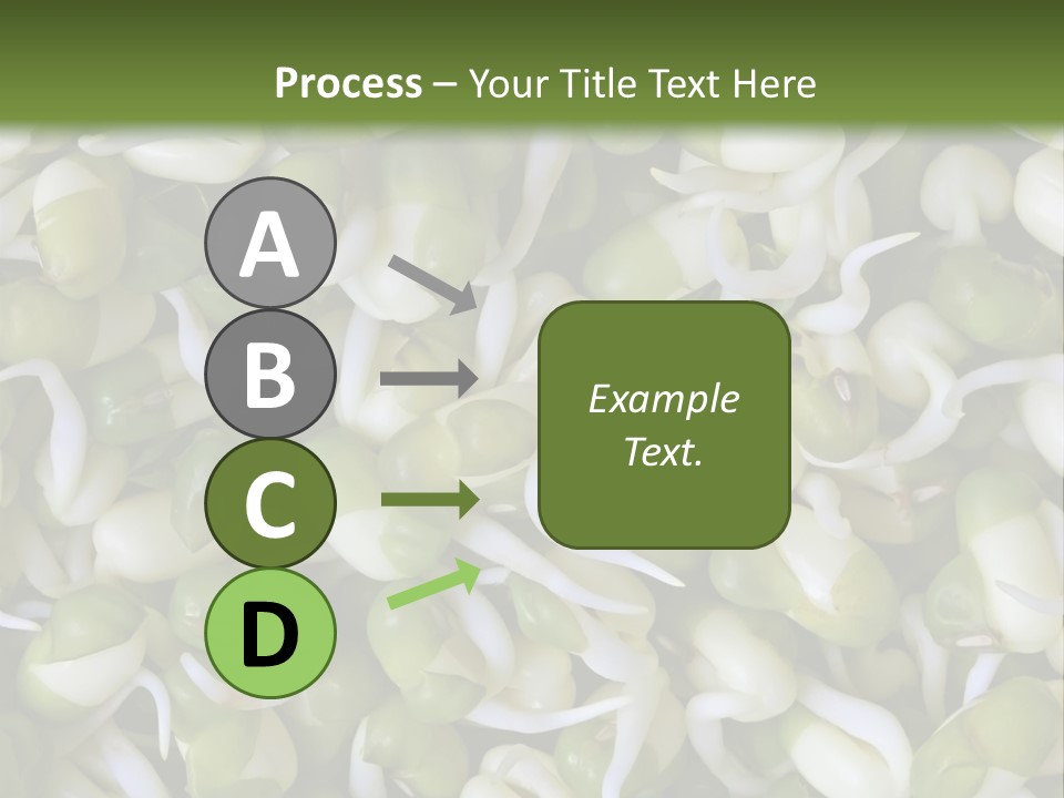 Wellness Germinate Mungo PowerPoint Template
