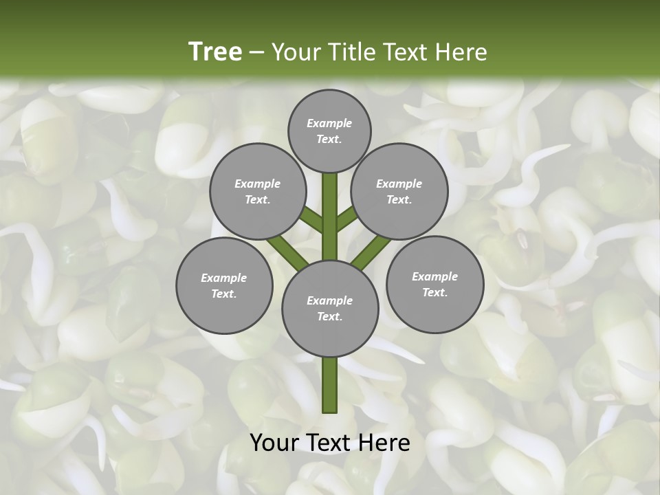 Wellness Germinate Mungo PowerPoint Template