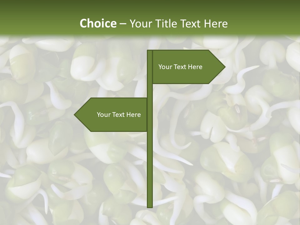 Wellness Germinate Mungo PowerPoint Template