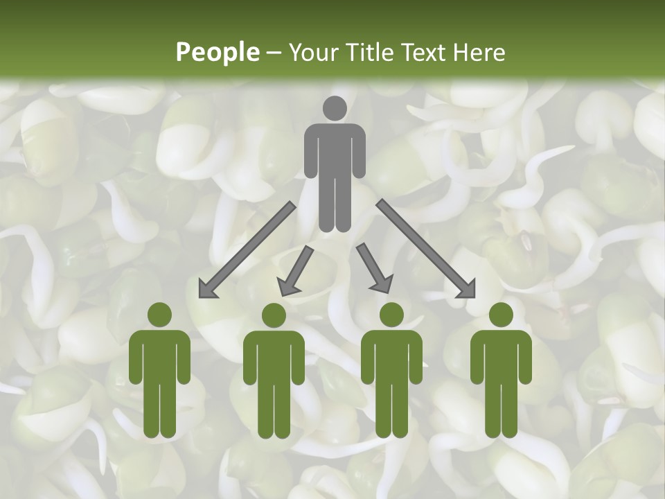 Wellness Germinate Mungo PowerPoint Template