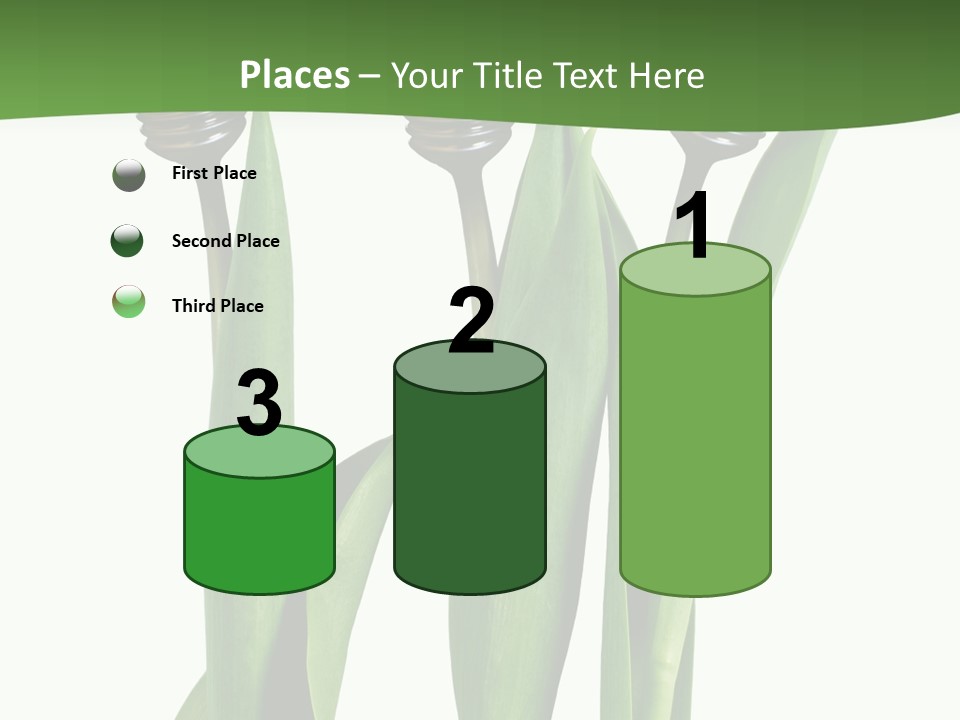 Gift Clipping Tulip PowerPoint Template