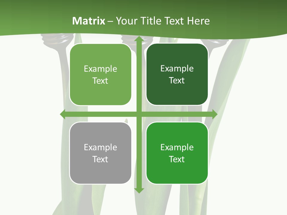 Gift Clipping Tulip PowerPoint Template