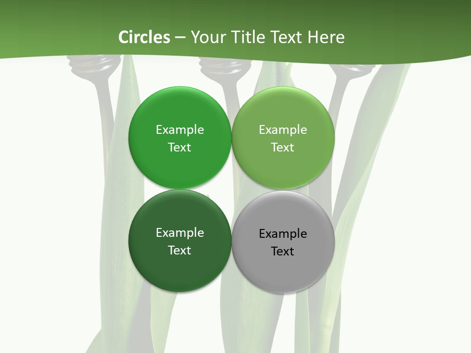 Gift Clipping Tulip PowerPoint Template