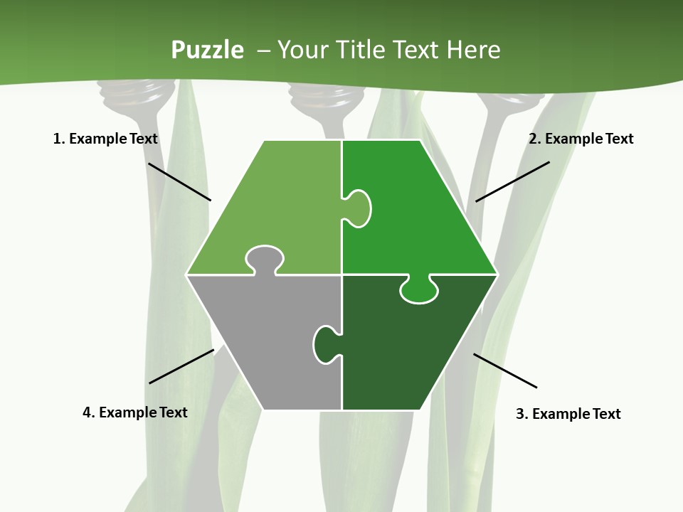 Gift Clipping Tulip PowerPoint Template