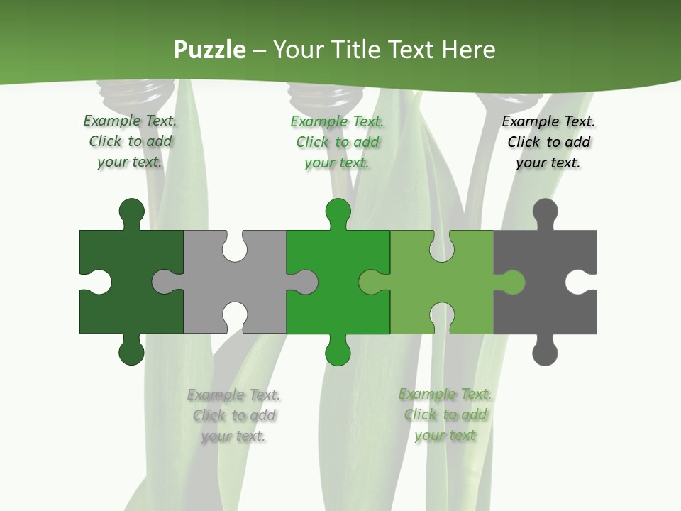 Gift Clipping Tulip PowerPoint Template