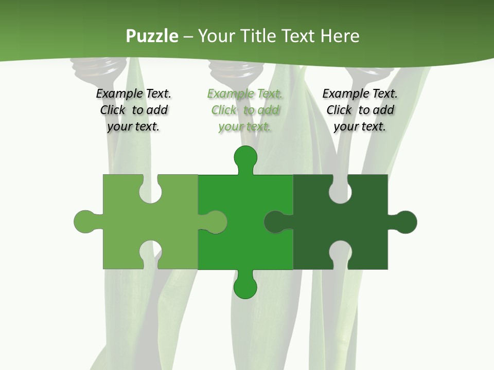 Gift Clipping Tulip PowerPoint Template