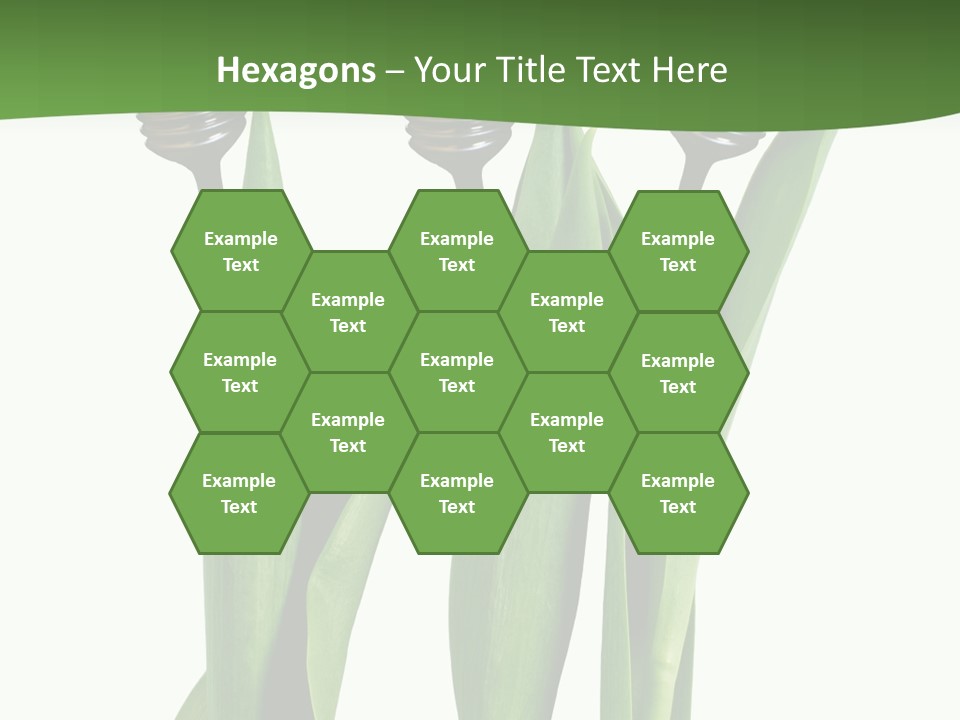 Gift Clipping Tulip PowerPoint Template