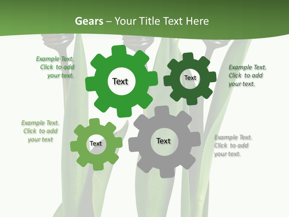 Gift Clipping Tulip PowerPoint Template