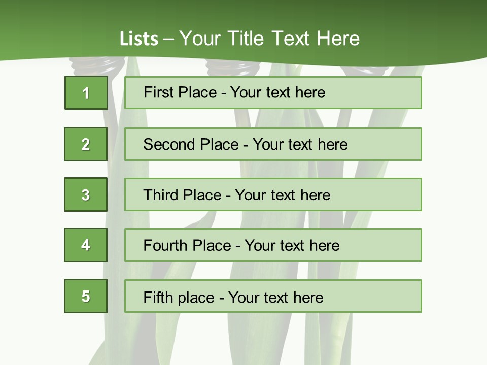 Gift Clipping Tulip PowerPoint Template