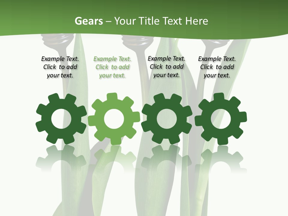 Gift Clipping Tulip PowerPoint Template