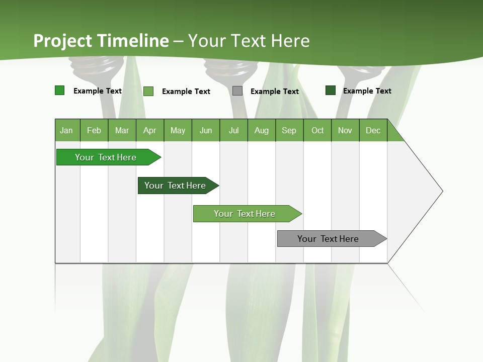Gift Clipping Tulip PowerPoint Template