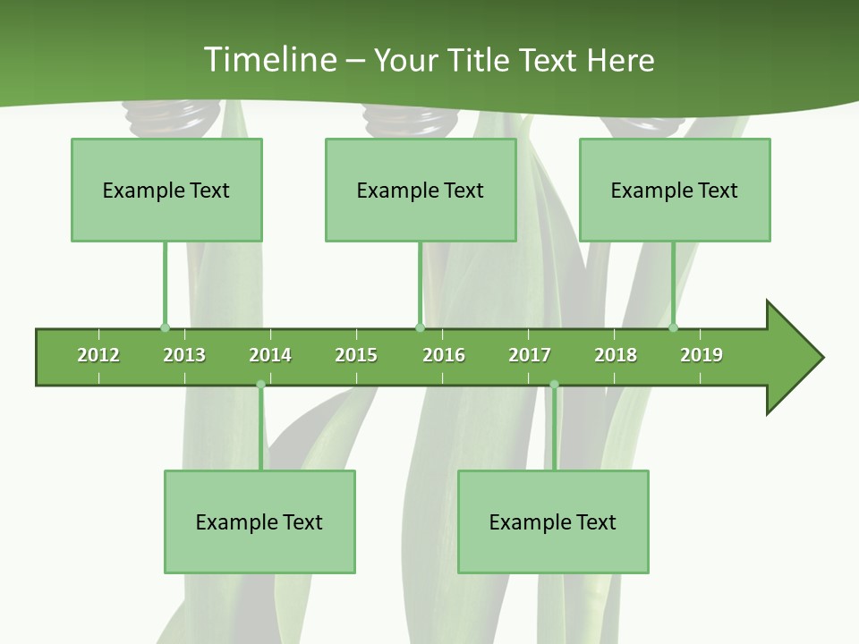 Gift Clipping Tulip PowerPoint Template