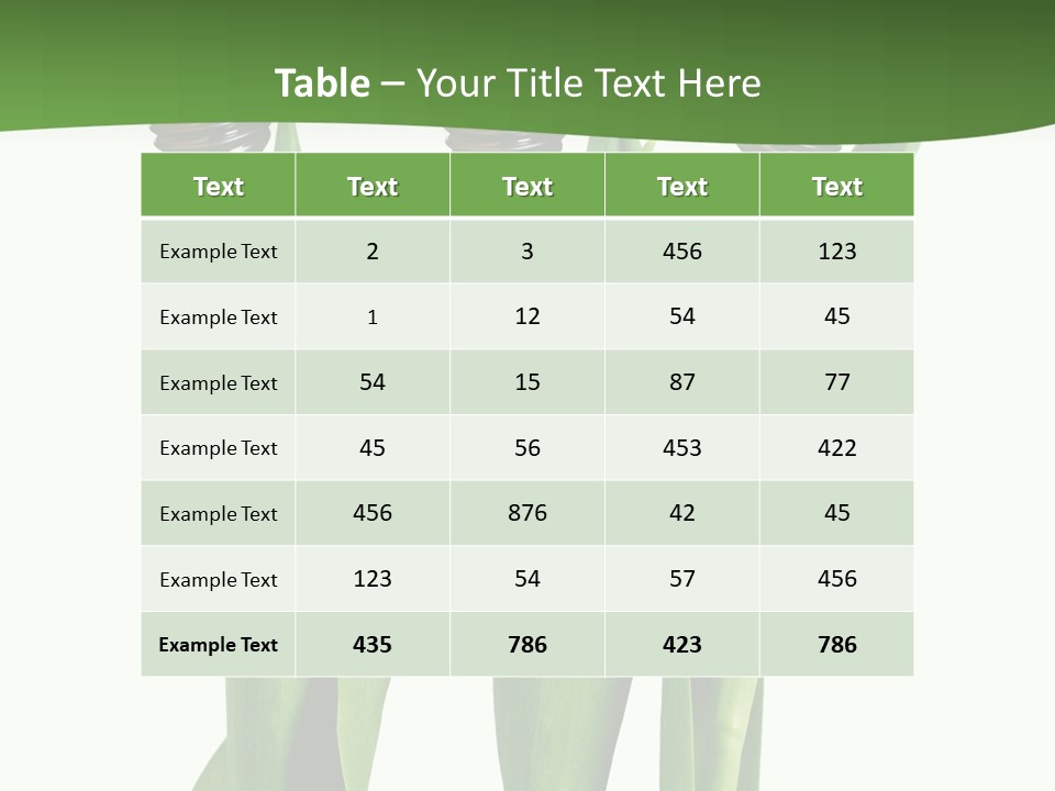 Gift Clipping Tulip PowerPoint Template