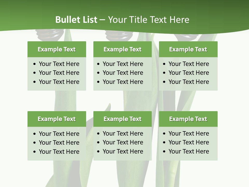 Gift Clipping Tulip PowerPoint Template