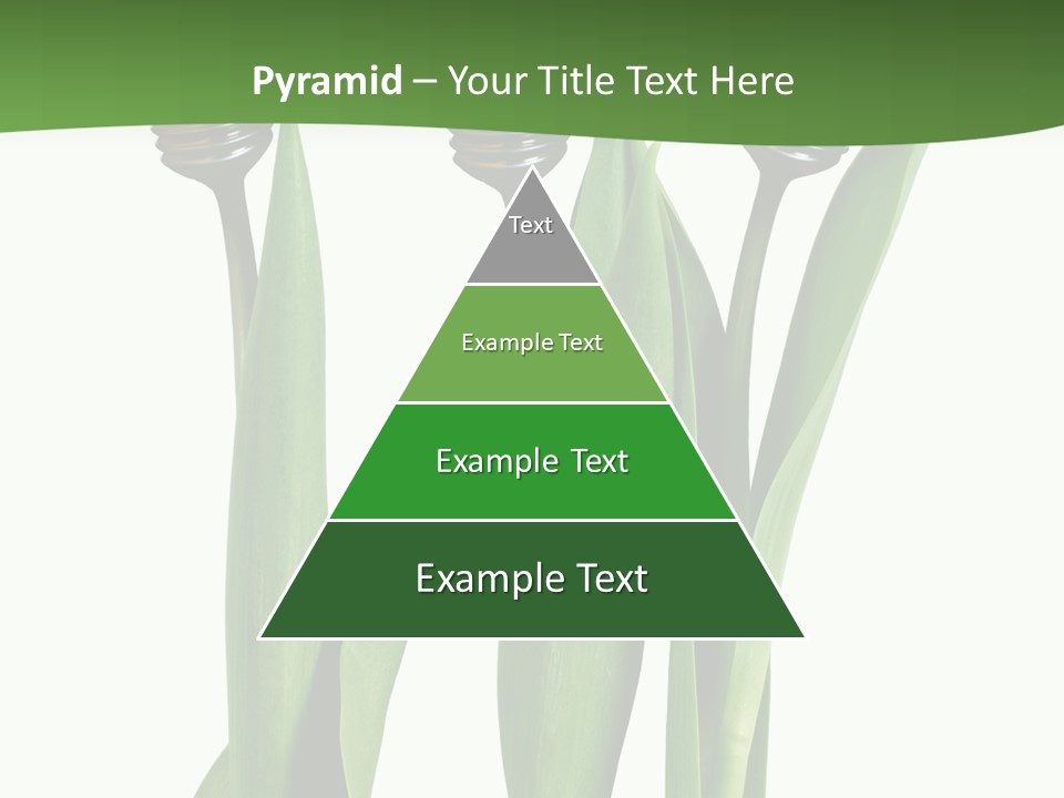 Gift Clipping Tulip PowerPoint Template