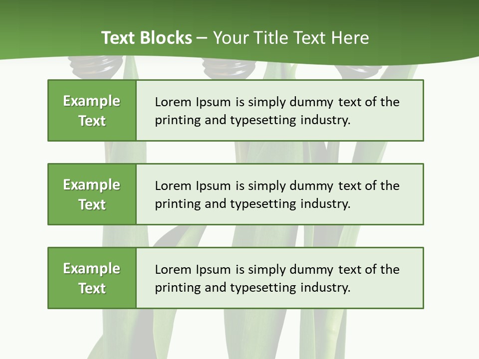 Gift Clipping Tulip PowerPoint Template