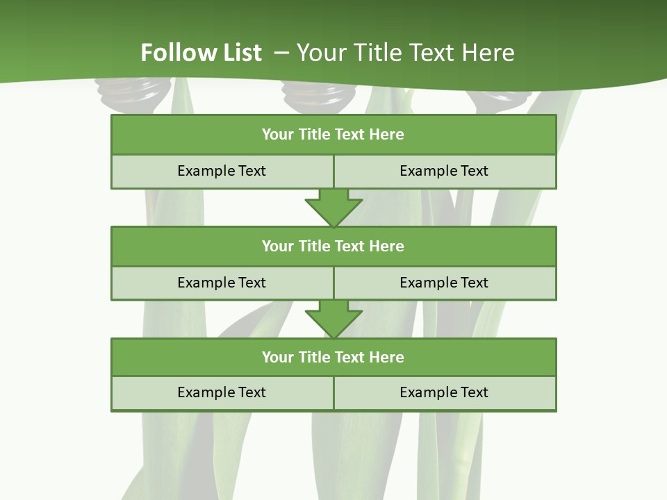 Gift Clipping Tulip PowerPoint Template