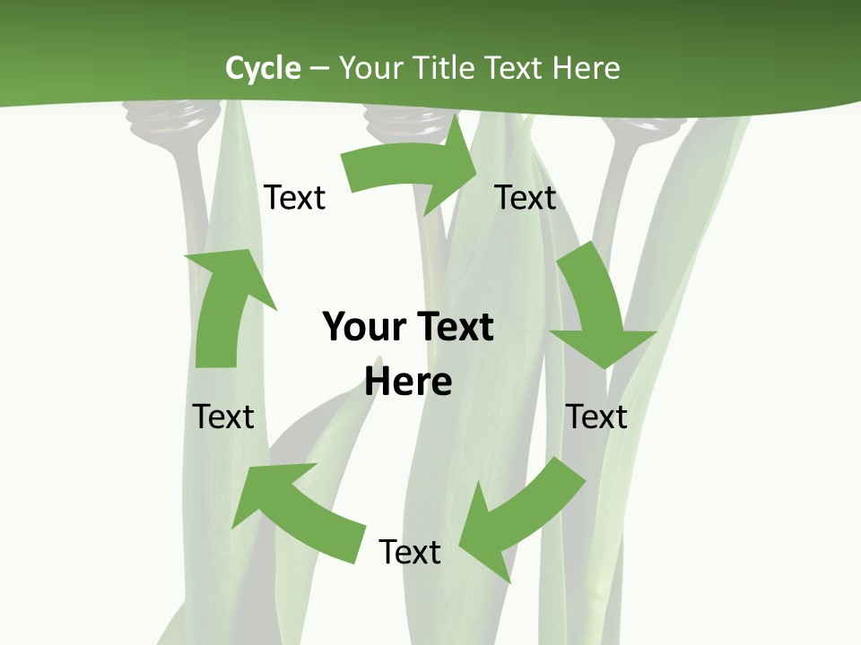 Gift Clipping Tulip PowerPoint Template