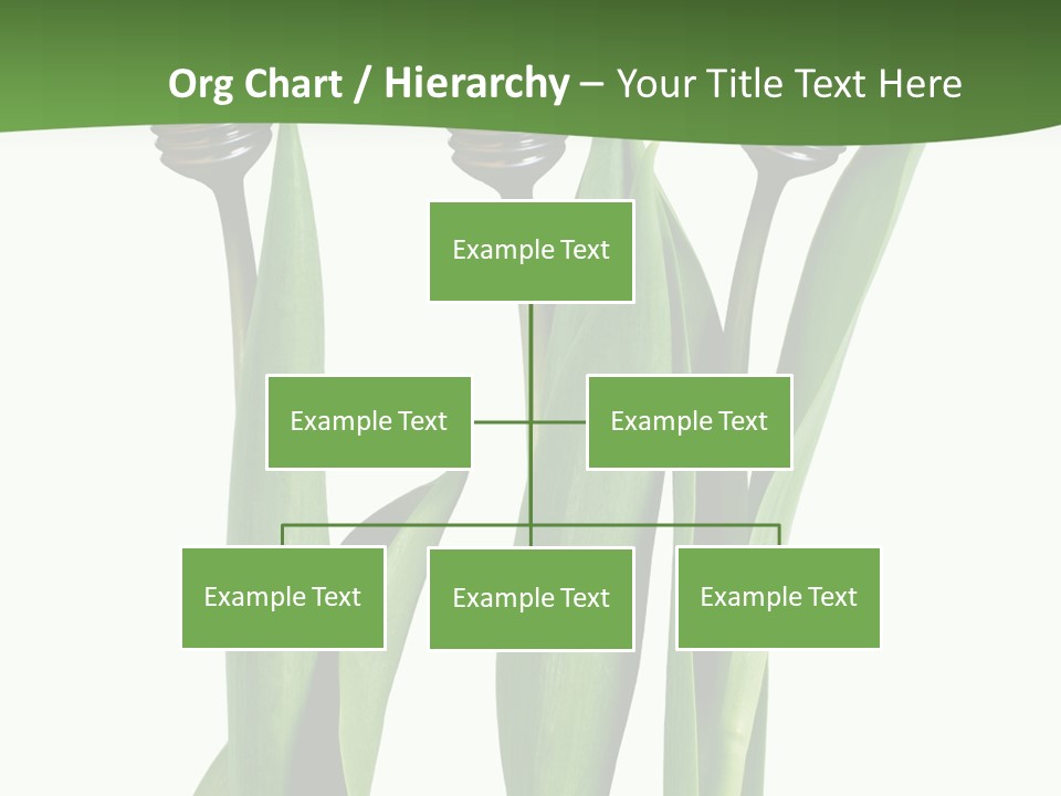 Gift Clipping Tulip PowerPoint Template