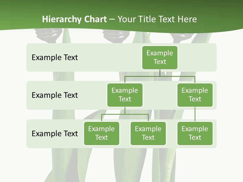 Gift Clipping Tulip PowerPoint Template