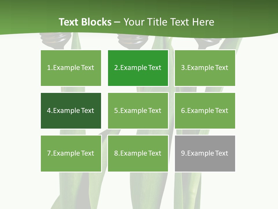 Gift Clipping Tulip PowerPoint Template