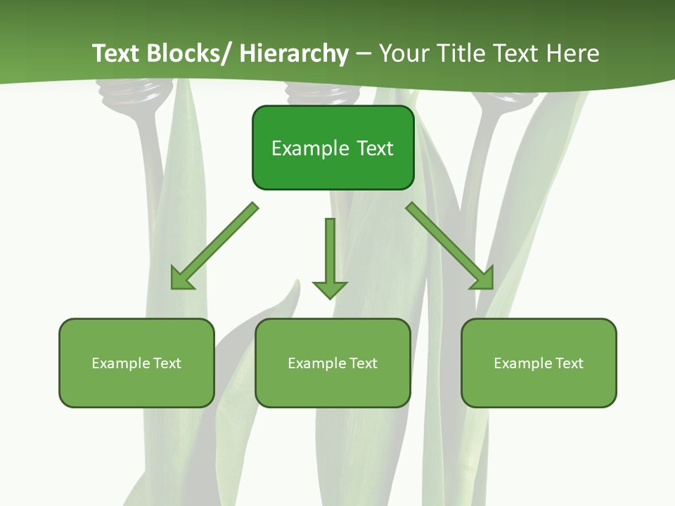 Gift Clipping Tulip PowerPoint Template