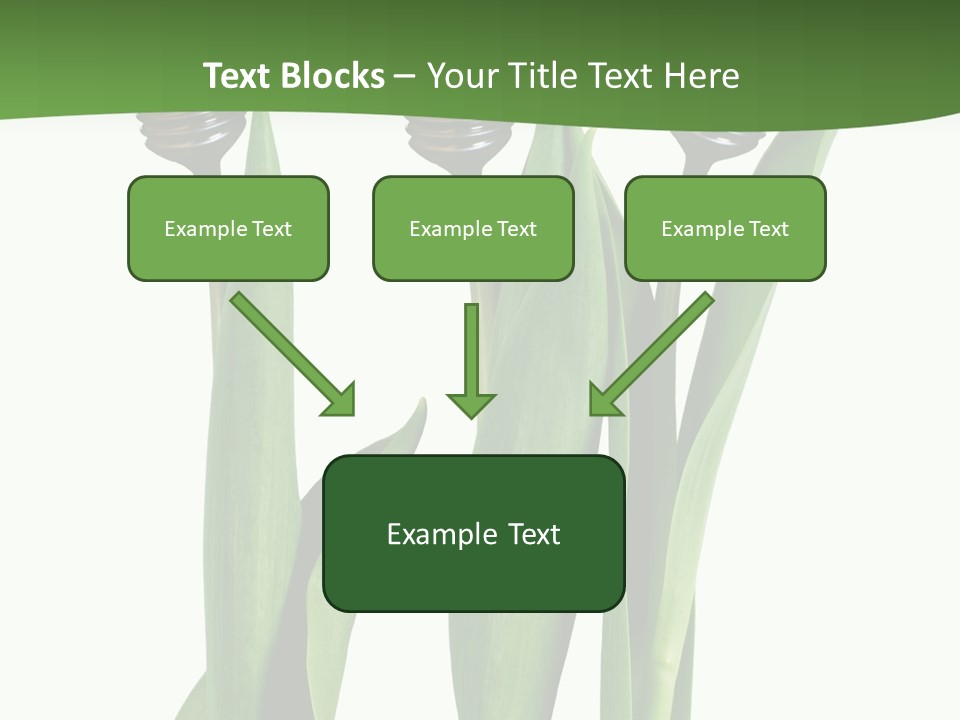 Gift Clipping Tulip PowerPoint Template