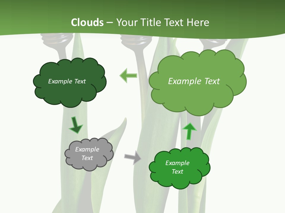 Gift Clipping Tulip PowerPoint Template
