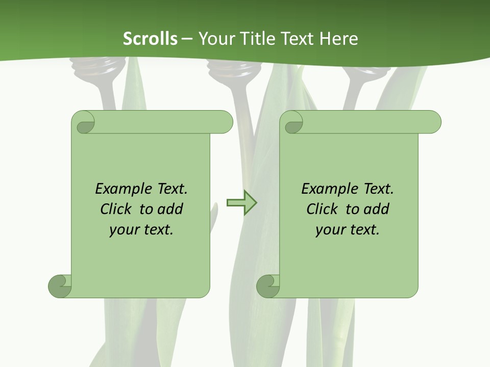 Gift Clipping Tulip PowerPoint Template