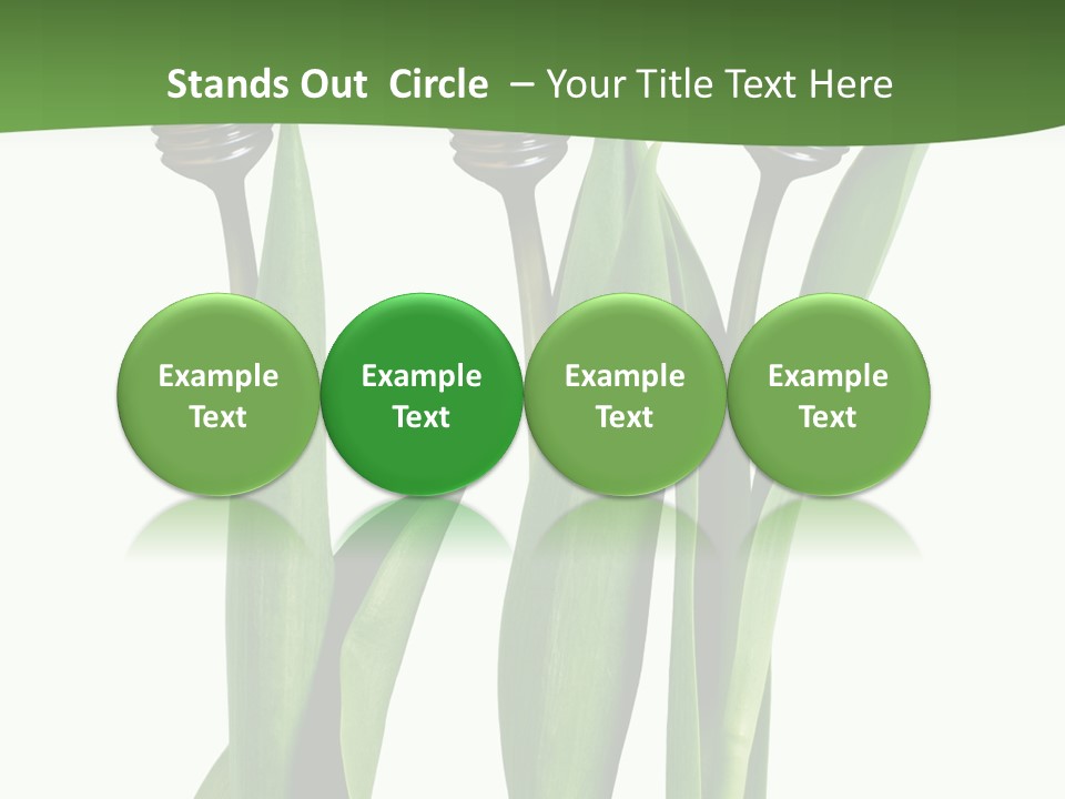 Gift Clipping Tulip PowerPoint Template