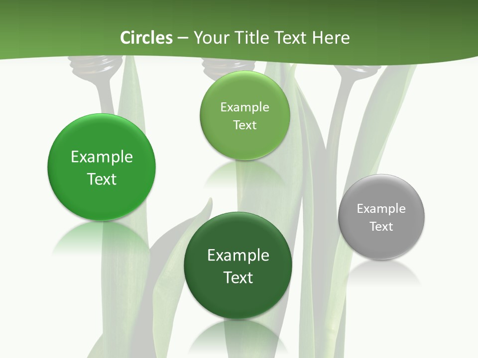 Gift Clipping Tulip PowerPoint Template