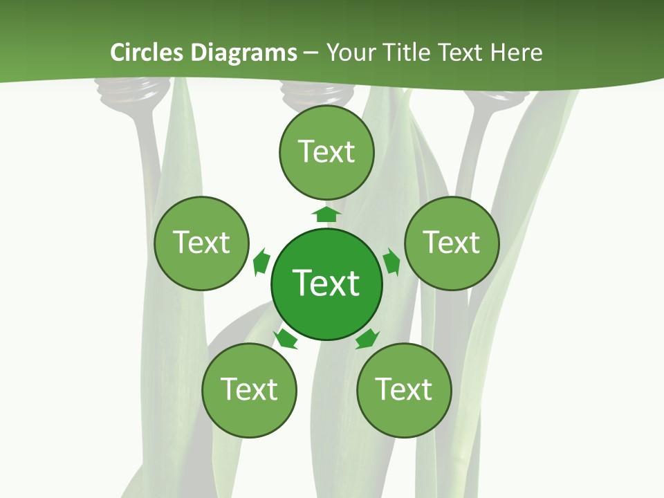 Gift Clipping Tulip PowerPoint Template