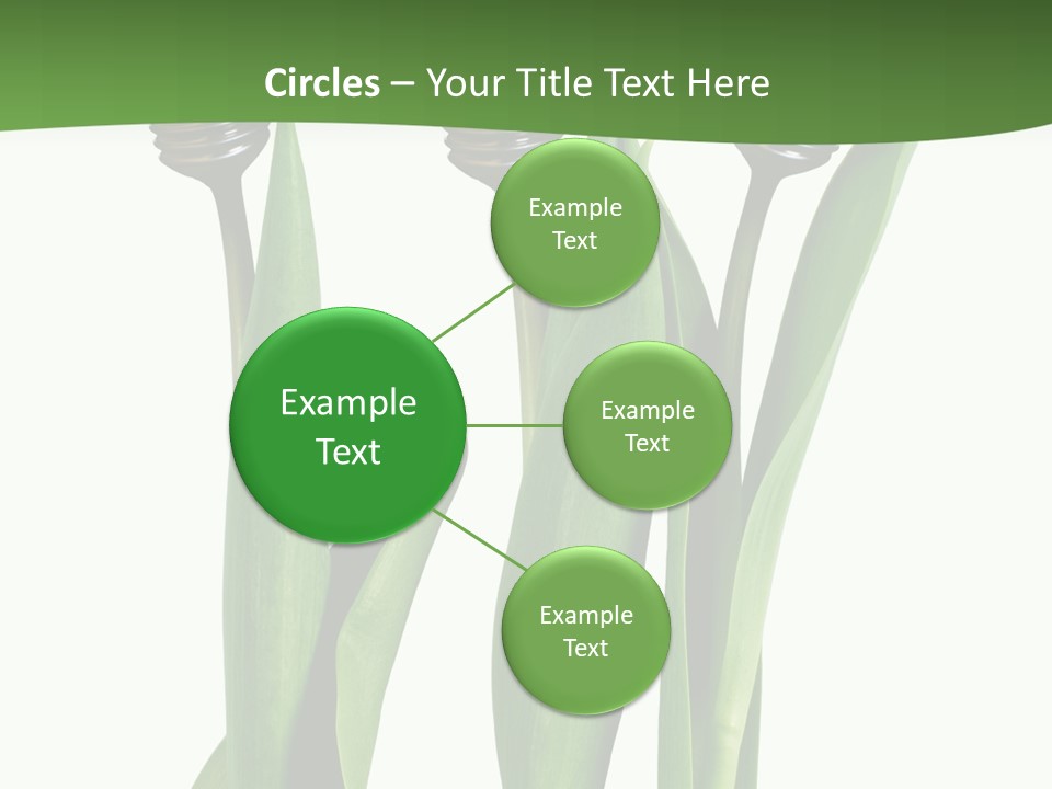 Gift Clipping Tulip PowerPoint Template