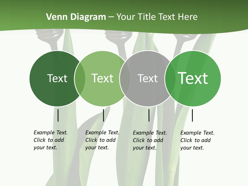 Gift Clipping Tulip PowerPoint Template