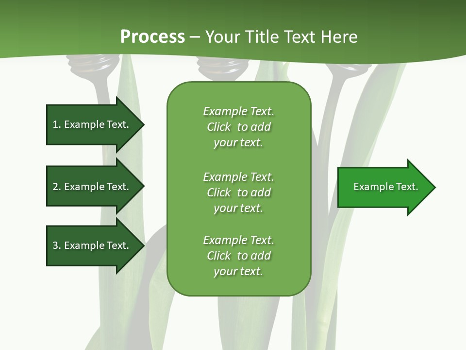 Gift Clipping Tulip PowerPoint Template