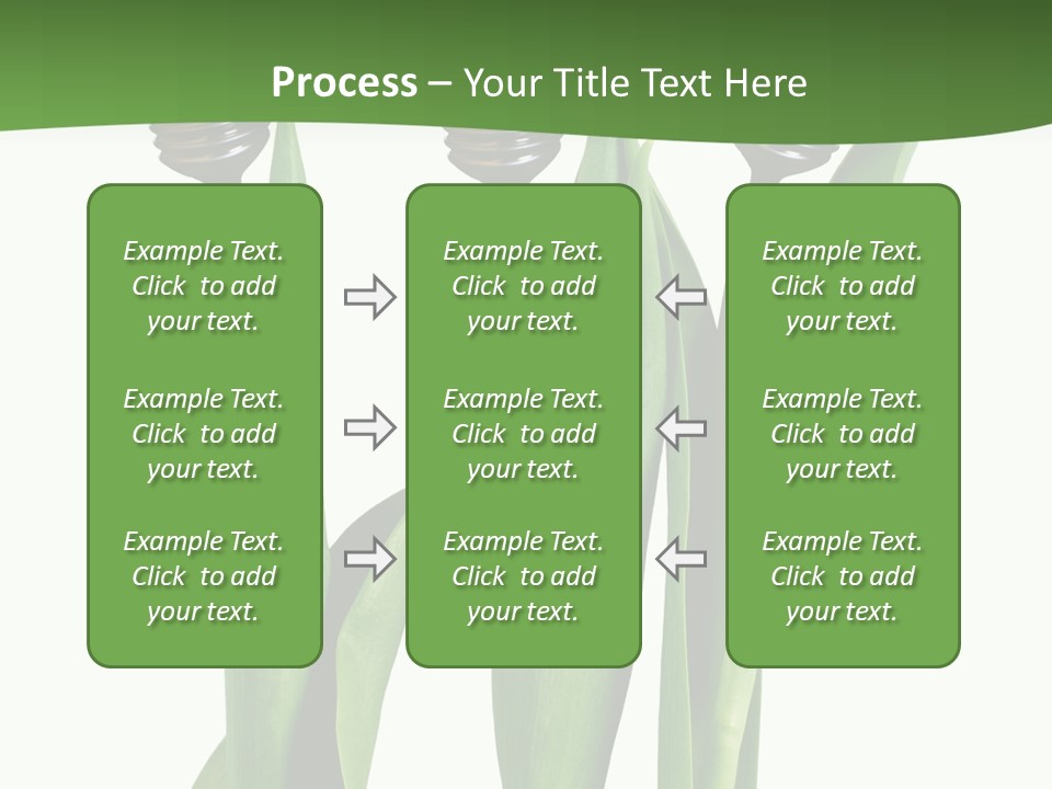 Gift Clipping Tulip PowerPoint Template